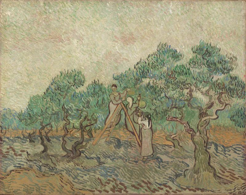 Vincent van Gogh, De olijfgaard, 1889. National Gallery of Art, Washington, Chester Dale Collection